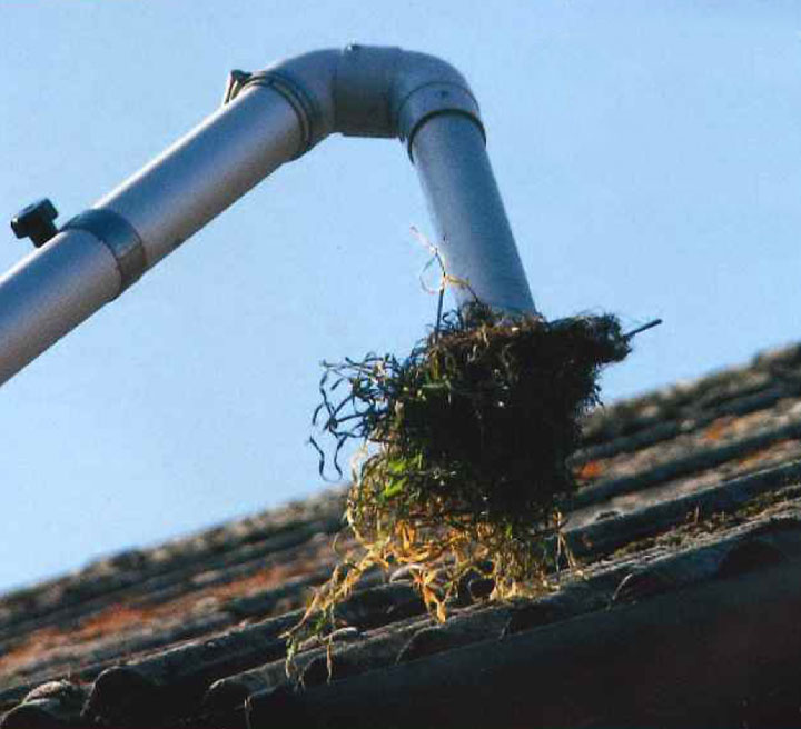 gutter cleaning